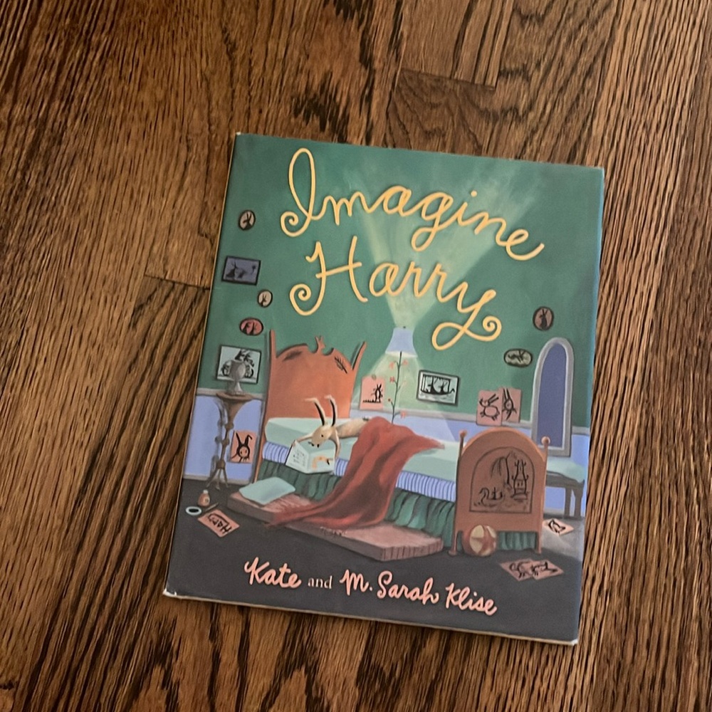 Imagine Harry book